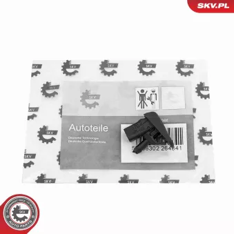 Gicleur d'eau de nettoyage, nettoyage des vitres ESEN SKV 15SKV206