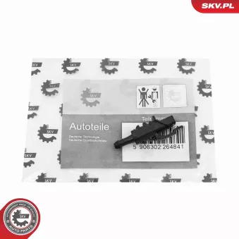 Gicleur d'eau de nettoyage, nettoyage des vitres ESEN SKV 15SKV216