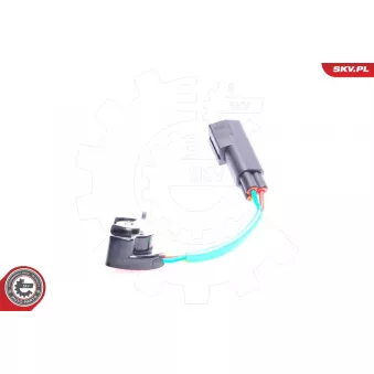 Capteur, position du papillon ESEN SKV 17SKV003