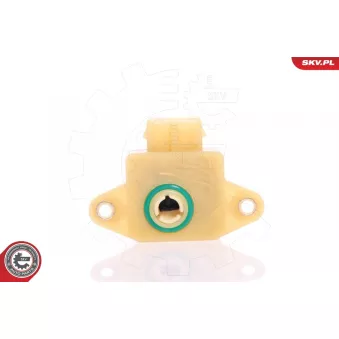 Capteur, position du papillon ESEN SKV 17SKV009