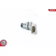 Capteur d'angle, vilebrequin ESEN SKV 17SKV278 - Visuel 1