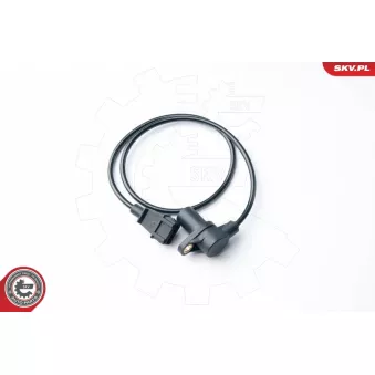 Capteur d'angle, vilebrequin ESEN SKV 17SKV296