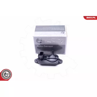 Capteur, pression des gaz échappement ESEN SKV 17SKV328