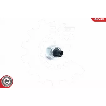 Capteur de cognement ESEN SKV