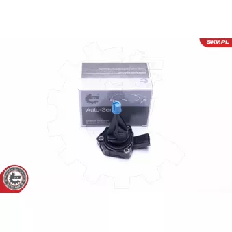 Capteur, niveau d'huile moteur ESEN SKV 17SKV393