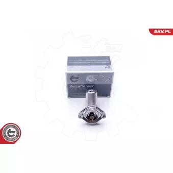 Capteur, niveau d'huile moteur ESEN SKV 17SKV396
