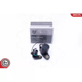 Capteur, niveau d'huile moteur ESEN SKV 17SKV401