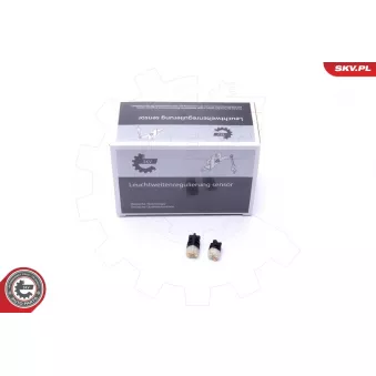 Appareil de commande, boîte automatique ESEN SKV 17SKV470