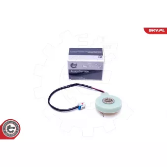 Détecteur de l'angle de braquage ESEN SKV 17SKV473
