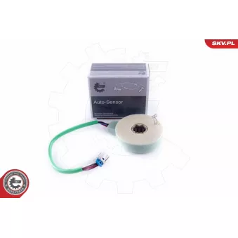 Détecteur de l'angle de braquage ESEN SKV 17SKV479