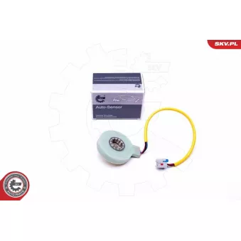 Détecteur de l'angle de braquage ESEN SKV