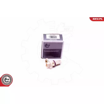 Capteur d'angle, vilebrequin ESEN SKV 17SKV528