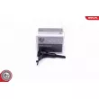 Capteur, vitesse/régime ESEN SKV 17SKV555 - Visuel 1