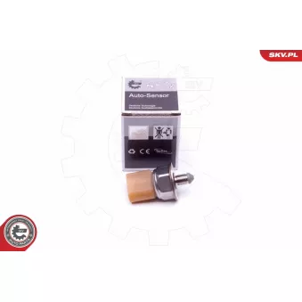 Capteur, pression de carburant ESEN SKV 17SKV581