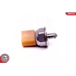 Capteur, pression de carburant ESEN SKV 17SKV581 - Visuel 2