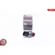 Capteur, pression de carburant ESEN SKV 17SKV582 - Visuel 1