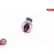 Capteur, pression de carburant ESEN SKV 17SKV589 - Visuel 3