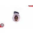 Capteur, pression de carburant ESEN SKV 17SKV596 - Visuel 3