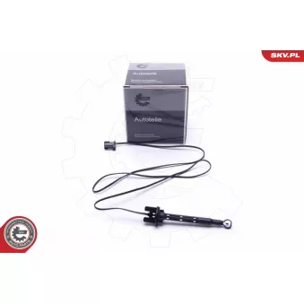 Capteur, température de l'air d'admission ESEN SKV 17SKV611