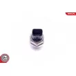 Capteur, pression de carburant ESEN SKV 17SKV616 - Visuel 3