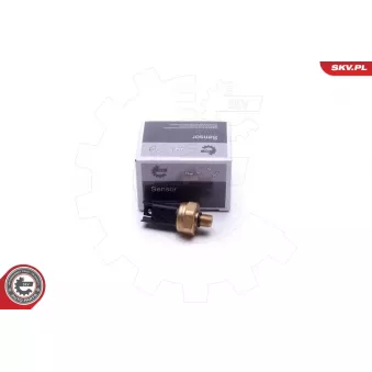 Capteur, pression de carburant ESEN SKV 17SKV620