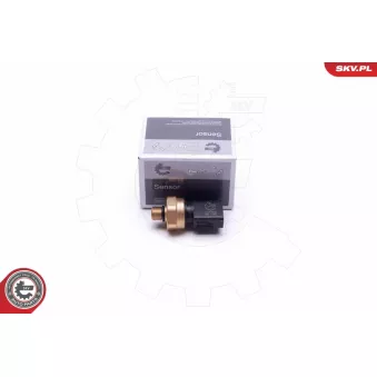 Capteur, pression de carburant ESEN SKV 17SKV622