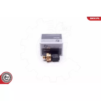 Capteur, pression de carburant ESEN SKV 17SKV624