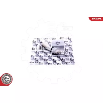 Capteur, niveau d'eau de refroidissement ESEN SKV 17SKV641