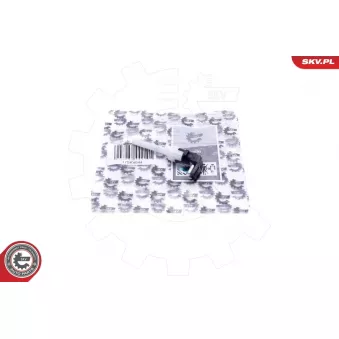 Capteur, niveau d'eau de refroidissement ESEN SKV