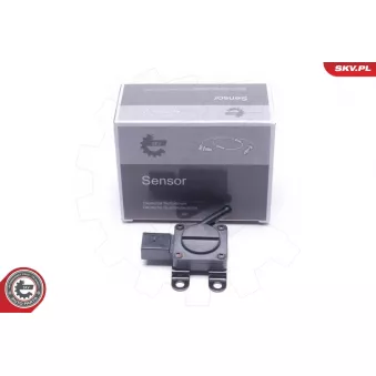 Capteur, pression des gaz échappement ESEN SKV 17SKV665
