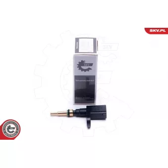 Sonde de température, liquide de refroidissement ESEN SKV 17SKV675