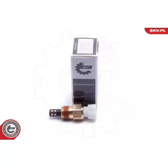 Capteur, température de l'air d'admission ESEN SKV 17SKV678