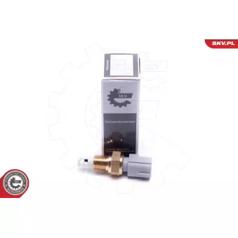 Capteur, température de l'air d'admission ESEN SKV 17SKV684