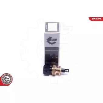 Capteur, température de l'air d'admission ESEN SKV 17SKV685