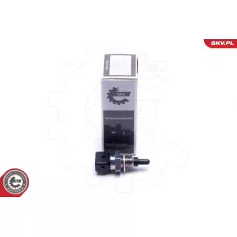 Capteur, température de l'air d'admission ESEN SKV 17SKV686