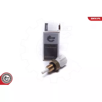 Capteur, température de l'air d'admission ESEN SKV 17SKV688