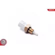 Capteur, température de l'air d'admission ESEN SKV 17SKV688 - Visuel 2