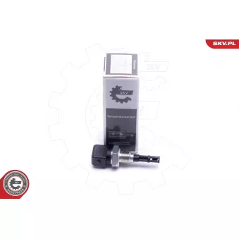 Capteur, température de l'air d'admission ESEN SKV 17SKV690