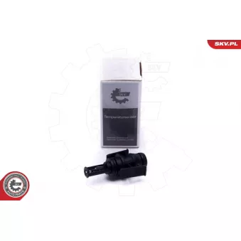 Capteur, température de l'air d'admission ESEN SKV