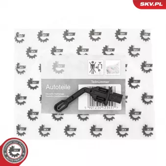 Capteur, température intérieur ESEN SKV 17SKV988