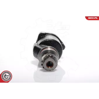 Pompe à vide, système de freinage ESEN SKV 18SKV001