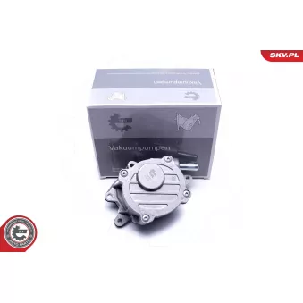 Pompe à vide, freinage ESEN SKV