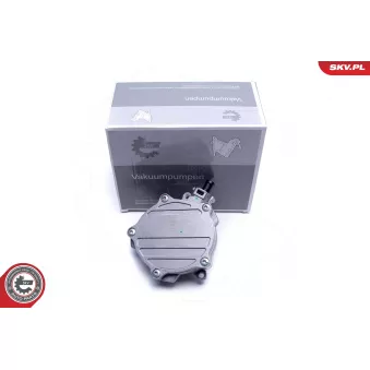 Pompe à vide, freinage ESEN SKV 18SKV056