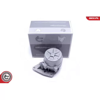 Pompe à vide, freinage ESEN SKV 18SKV062