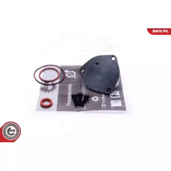 Kit de réparation, pompe à vide (freinage) ESEN SKV 18SKV800