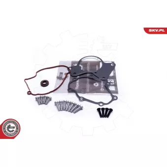 Kit de réparation, pompe à vide (freinage) ESEN SKV 18SKV802