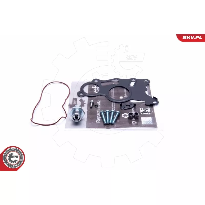 Kit de réparation, pompe à vide (freinage) ESEN SKV 18SKV803