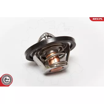 Thermostat d'eau ESEN SKV