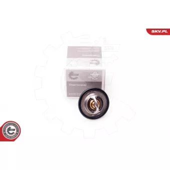 Thermostat, liquide de refroidissement ESEN SKV 20SKV047