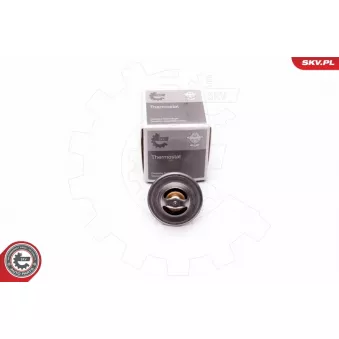 Thermostat, liquide de refroidissement ESEN SKV 20SKV058